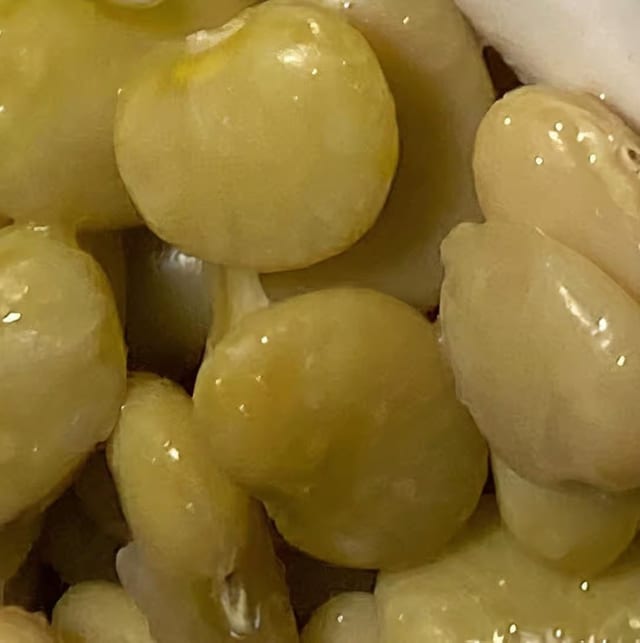Lima Beans.