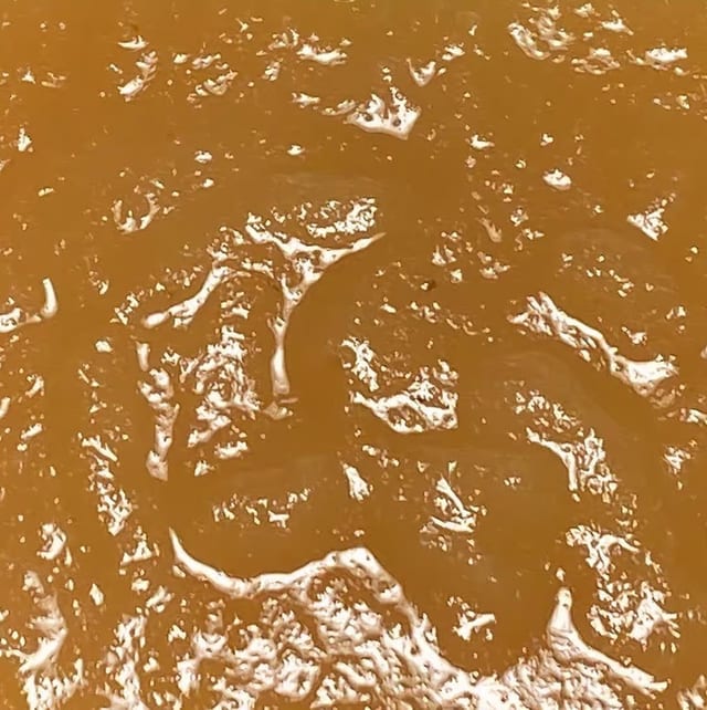 Apple Sauce.
