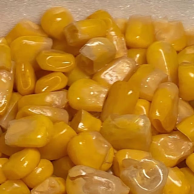 Corn.
